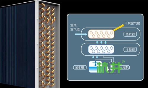 强劲除湿机对针织袜子厂的重要性